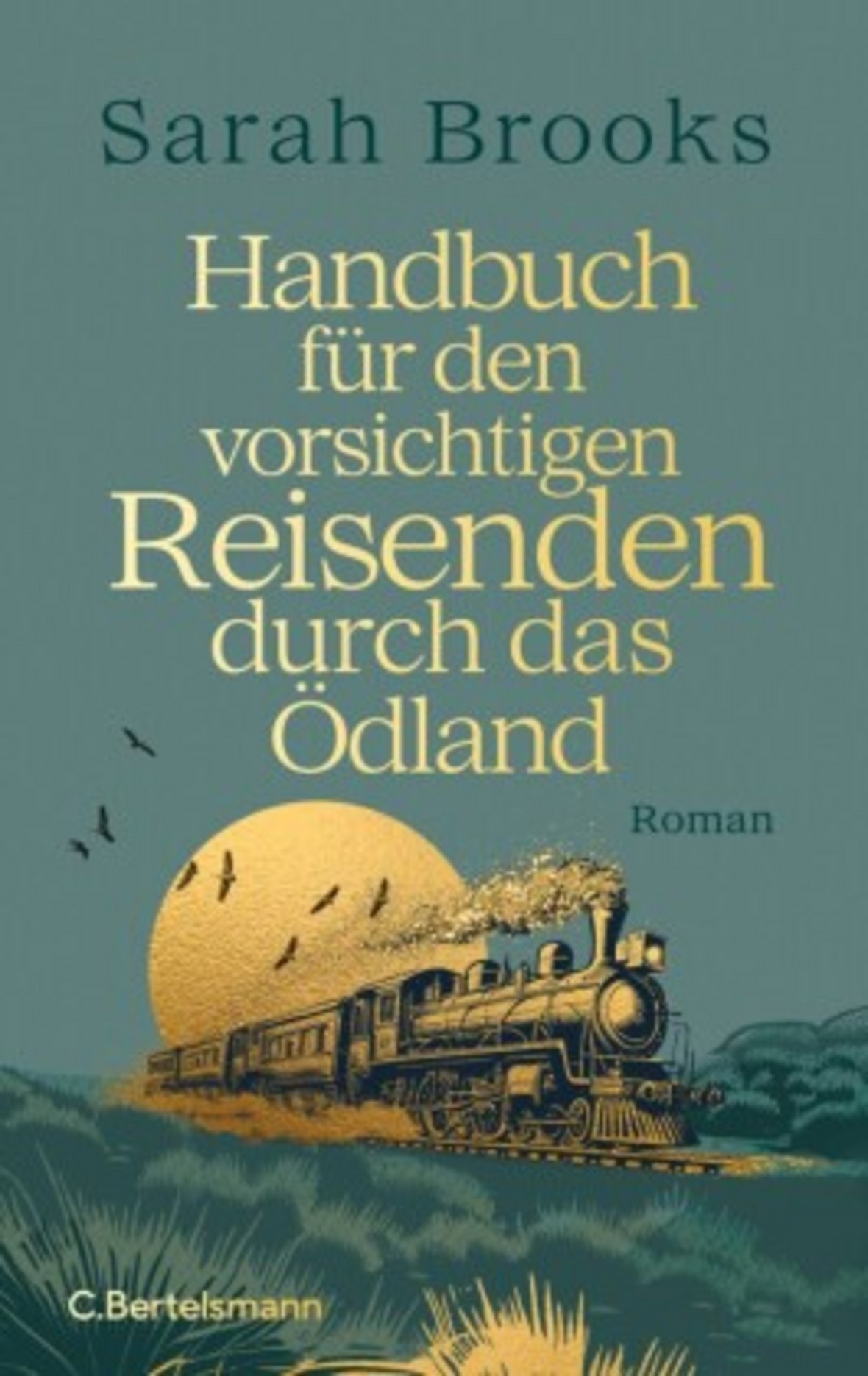 Buchcover mit der Zeichnung eines Zugs mit Dampflok